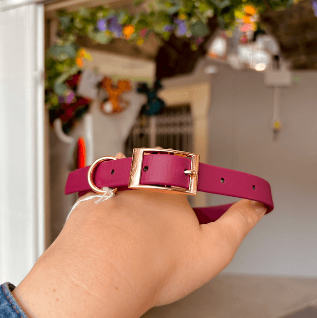 Pet Pooch Boutique Red Wine BioThane Dog Collar - Medium