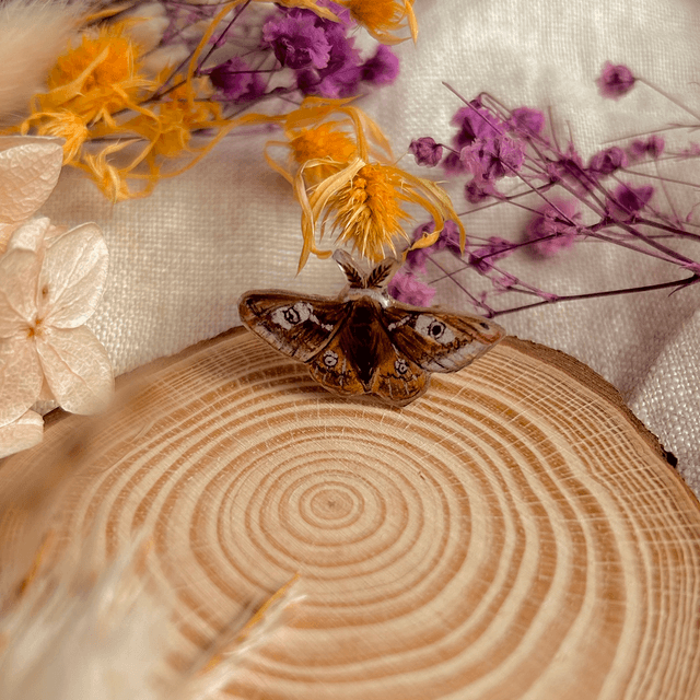 Emperor Moth Ring - Adjustable