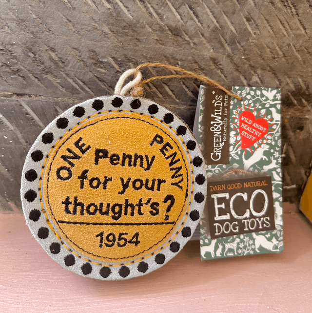 Green & Wild's Penny for your Thoughts, Eco Dog Toy