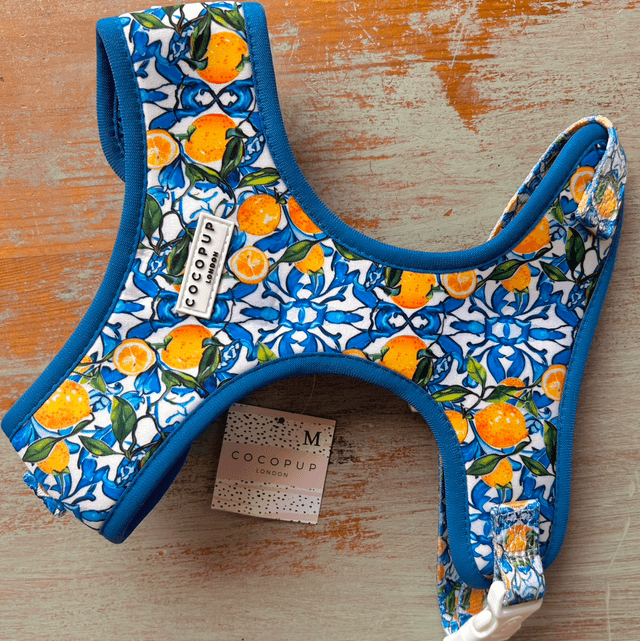 Cocopup London Amalfi Lemon Adjustable Neck Harness - Medium