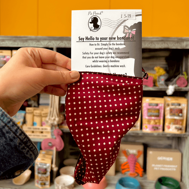 Pet Pooch Boutique Olde English Red Polka Dot Dog Bandana - Small/Medium