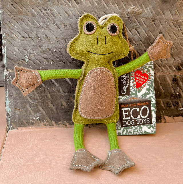 Green & Wild's Francois Le Frog, Eco Dog Toy