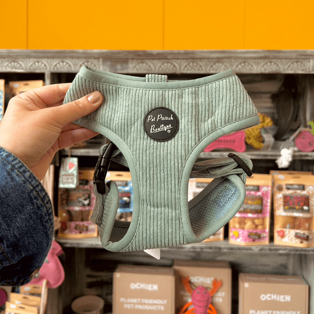 Pet Pooch Boutique Sage Green Cord Dog Harness - Medium