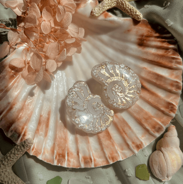 Gold and White Nautilus Shell Stud Earrings