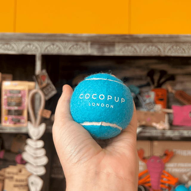 Cocopup London Tennis Ball - Bright Blue