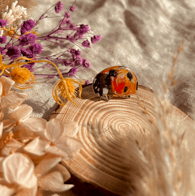 Ladybird Pin Badge