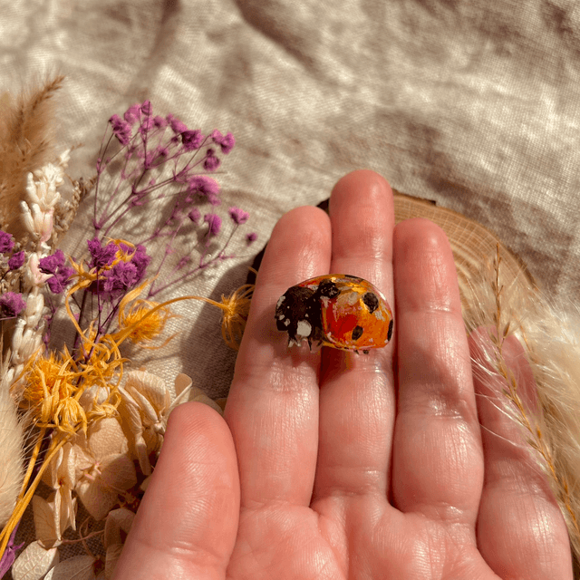 Ladybird Pin Badge