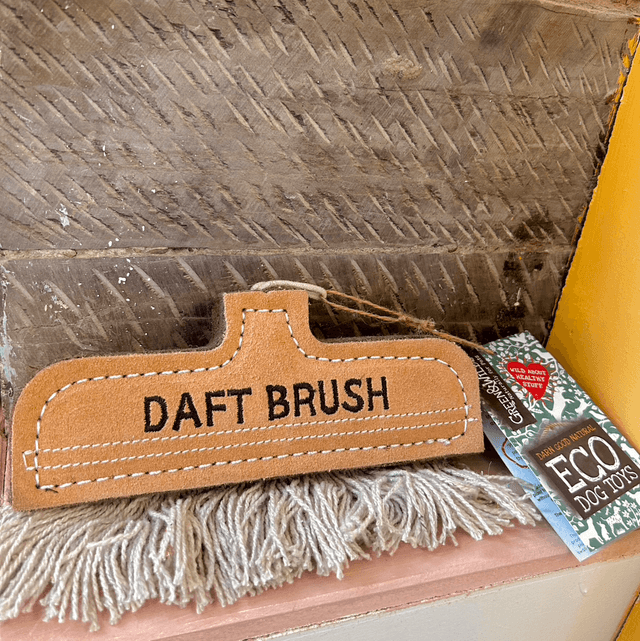 Green & Wild's Daft Brush, Eco Dog Toy