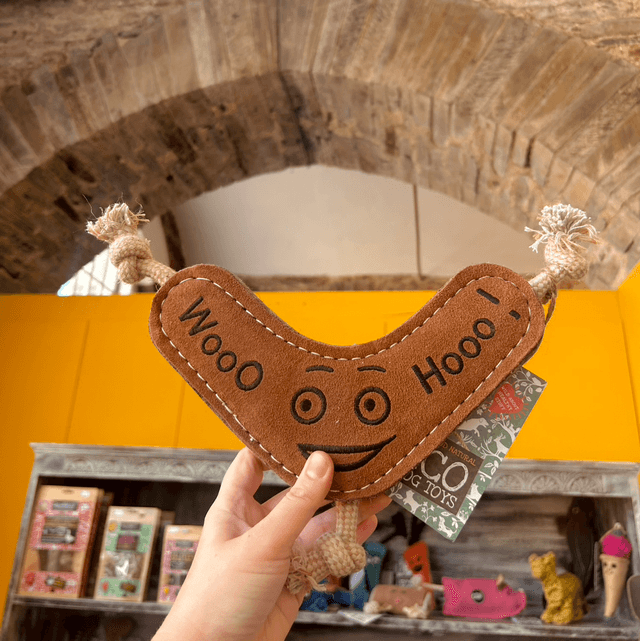Green & Wild's Benny the Boomerang Eco Dog Toy
