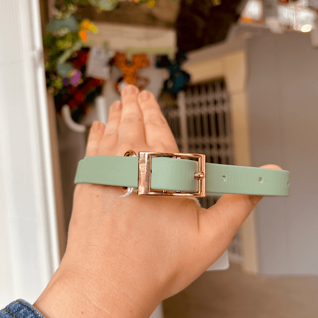 Pet Pooch Boutique Sage Green BioThane Dog Collar - Medium