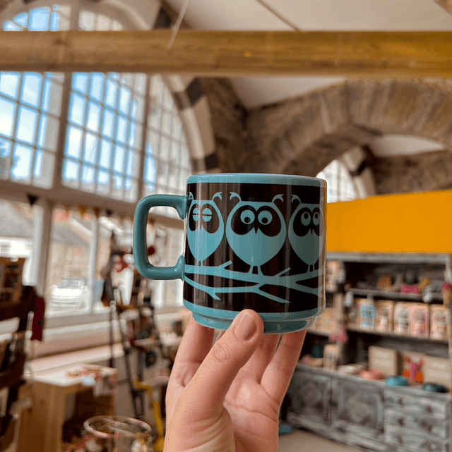 Magpie X Hornsea Mug Owls on Branch - Teal