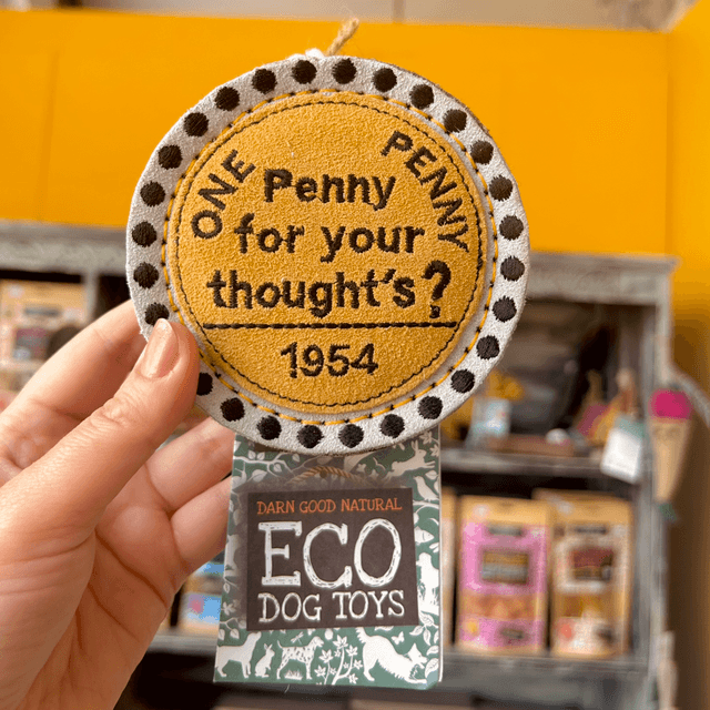 Green &amp; Wild&#039;s Penny for your Thoughts, Eco Dog Toy