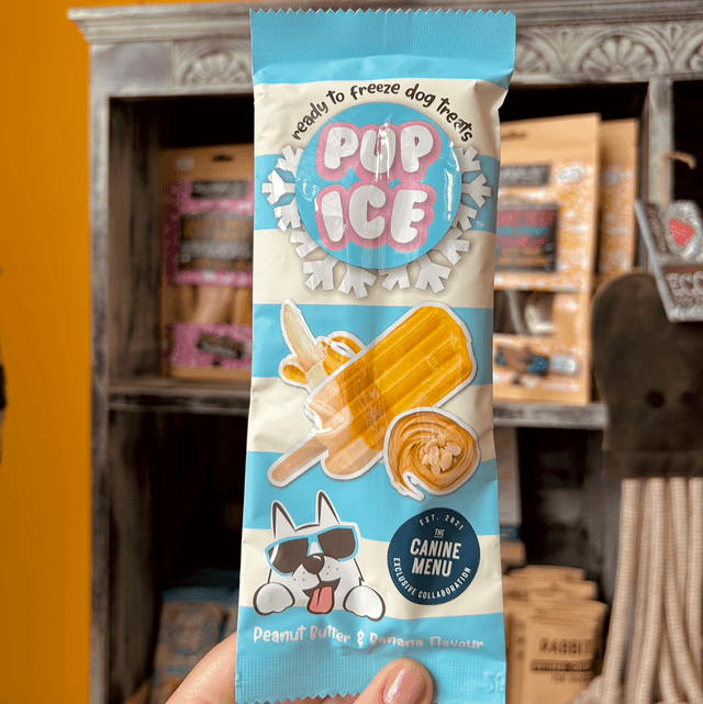 The Canine Menu Pup Ice Lollies (Ready to Freeze)
