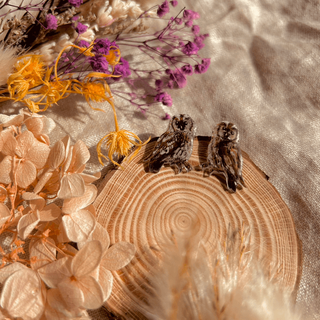 Tawny Owl Stud Earrings