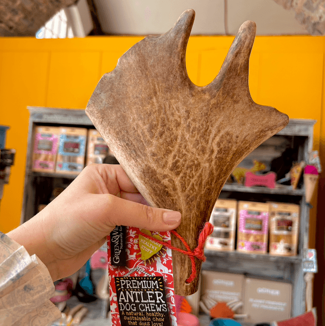 Green &amp; Wild&#039;s Fallow Antler Chew - Large 151 - 220g