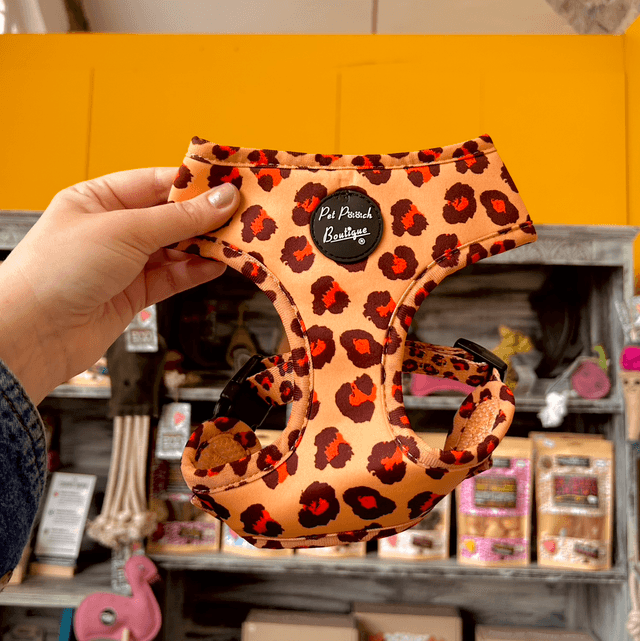 Pet Pooch Boutique Spiced Honey Leopard Dog Harness - Small