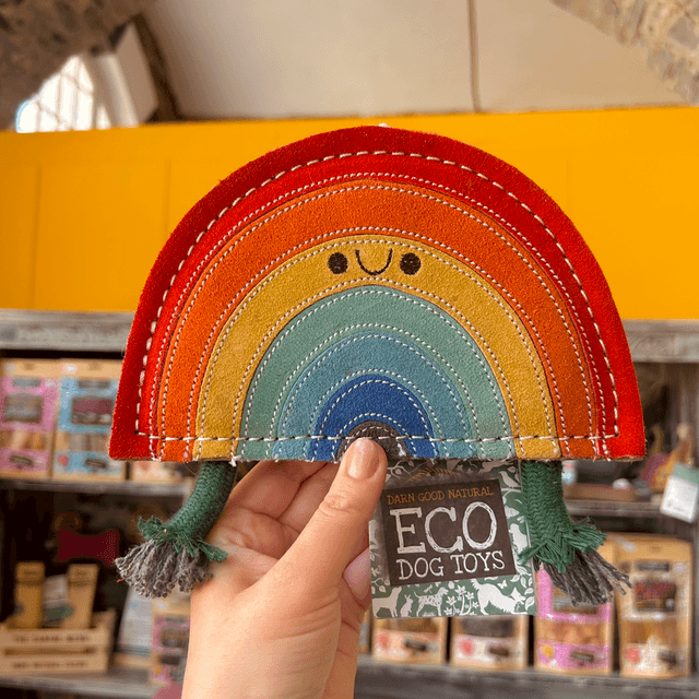 Green &amp; Wild&#039;s Rainbow Warrior, Eco Dog Toy